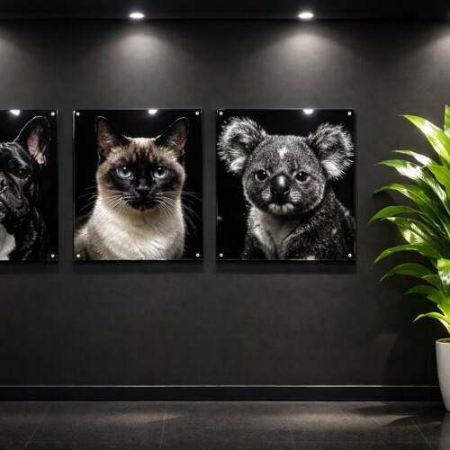 Tableau plexi type galerie avec des visages d'animaux
