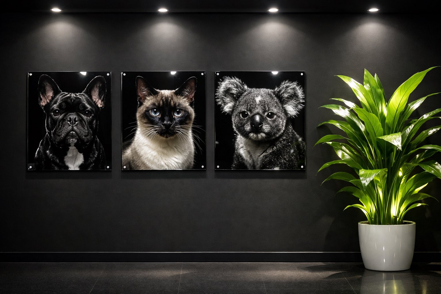 Tableau plexi type galerie avec des visages d'animaux